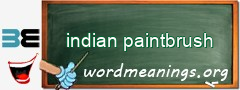 WordMeaning blackboard for indian paintbrush